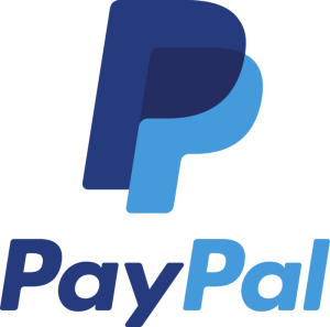 PayPal Logo 2014 700x693 1